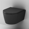 Купить  , C8F1700MBSC /  , в категории Унитазы подвесные , от бренда AM-PM  Интернет-магазин сантехники ✓ Лучшие цены на рынке ✓ Огромный выбор ✓ Гарантия ✓ Заходите!