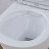 Купити Унітаз підвісний безобідковий FlashClean, з сидінням мікроліфт AM.PM C45A1700SC Tender , C45A1700SC / C45A1700SC Tender унитаз подвесной безободковый с сиденьем микролифт , в категории Унітази підвісні , от бренда AM-PM  Інтернет-магазин сантехніки