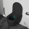 Купить  , C8F1700MBSC /  , в категории Унитазы подвесные , от бренда AM-PM  Интернет-магазин сантехники ✓ Лучшие цены на рынке ✓ Огромный выбор ✓ Гарантия ✓ Заходите!