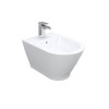Купить LEDNICE біде подвесное (52*36*30см) IMPRESE c05207900 , c05207900 / 91944 , в категории Биде подвесные , от бренда IMPRESE  Интернет-магазин сантехники ✓ Лучшие цены на рынке ✓ Огромный выбор ✓ Гарантия ✓ Заходите!