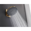 Купить PULSIFY верхний душ 260мм, 1 режим, цвет шлифованная бронза HANSGROHE 24140140 , 24140140 / 92527 , в категории Верхние души , от бренда HANSGROHE  Интернет-магазин сантехники ✓ Лучшие цены на рынке ✓ Огромный выбор ✓ Гарантия ✓ Заходите!