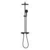 Купить СИСТЕМА ДУША TEMPESTA CUBE 250 с термостатом, цвет черный матовый GROHE 266892431 , 266892431 / 95902 , в категории Душевая система с термостатом , от бренда GROHE  Интернет-магазин сантехники ✓ Лучшие цены на рынке ✓ Огромный выбор ✓ Гарантия ✓ За