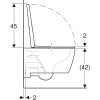 Купити Унітаз підвісний з кришкою soft-close iCon Rimfree 501.664.00.1 Geberit , 501.664.00.1 / 33532 , в категории Пісуар , от бренда GEBERIT  Інтернет-магазин сантехніки ✓ Кращі ціни на ринку ✓ Величезний вибір ✓ Гарантія ✓ Заходьте!