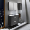 Купити Шафка з умивальником Debba 80 (A855907153) Антрацитова, Roca , A855907153 / 20047 , в категории Меблі , от бренда ROCA  Інтернет-магазин сантехніки ✓ Кращі ціни на ринку ✓ Величезний вибір ✓ Гарантія ✓ Заходьте!