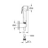 Купити Гігієнічний душ Tempesta-F Trigger Spray 30 (26354000), Grohe , 26354000 / 7141 , в категории Душові набори , от бренда GROHE  Інтернет-магазин сантехніки ✓ Кращі ціни на ринку ✓ Величезний вибір ✓ Гарантія ✓ Заходьте!