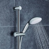 Купить Лейка для ручного душа Tempesta 100 2759700E Grohe , 2759700E / 33477 , в категории Душевые наборы , от бренда GROHE  Интернет-магазин сантехники ✓ Лучшие цены на рынке ✓ Огромный выбор ✓ Гарантия ✓ Заходите!