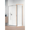 Купить Боковая стенка Alienta DWJ S1 90 RADAWAY , 10270090-01-01 / 36464 , в категории Душевые поддоны , от бренда Radaway  Интернет-магазин сантехники ✓ Лучшие цены на рынке ✓ Огромный выбор ✓ Гарантия ✓ Заходите!