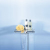 Купити Grohtherm 2000 NEW Термостат для ванни з поличкою GROHE 34464001 , 34464001 / 35217 , в категории Змішувачі для ванної , от бренда GROHE  Інтернет-магазин сантехніки ✓ Кращі ціни на ринку ✓ Величезний вибір ✓ Гарантія ✓ Заходьте!