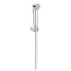Купити Гігієнічний душ Tempesta-F Trigger Spray 30 (26354000), Grohe , 26354000 / 7141 , в категории Душові набори , от бренда GROHE  Інтернет-магазин сантехніки ✓ Кращі ціни на ринку ✓ Величезний вибір ✓ Гарантія ✓ Заходьте!