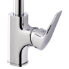 Купити Змішувач для кухні Qtap Pivonka QTPIV9013102UC Chrome , QTPIV9013102UC / SD00042107 , в категории Змішувачі для кухні , от бренда Qtap  Інтернет-магазин сантехніки ✓ Кращі ціни на ринку ✓ Величезний вибір ✓ Гарантія ✓ Заходьте!