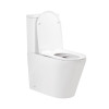 Купить Унитаз-компакт Qtap Scorpio безобидковый с сиденьем Soft-close QT14222125ARW , QT14222125ARW / SD00042527 , в категории Унитазы-компакты напольные , от бренда Qtap  Интернет-магазин сантехники ✓ Лучшие цены на рынке ✓ Огромный выбор ✓ Гарантия ✓ За