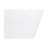 Купити Біде підлогове Qtap Scorpio 530x360x395 White QT14441003CW , QT14441003CW / SD00042532 , в категории Біде , от бренда Qtap  Інтернет-магазин сантехніки ✓ Кращі ціни на ринку ✓ Величезний вибір ✓ Гарантія ✓ Заходьте!