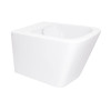 Купить Биде подвесное Qtap Tern 485x345x330 White QT1755052FW , QT1755052FW / SD00042537 , в категории Биде , от бренда Qtap  Интернет-магазин сантехники ✓ Лучшие цены на рынке ✓ Огромный выбор ✓ Гарантия ✓ Заходите!