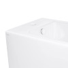 Купить Биде подвесное Qtap Tern 485x345x330 White QT1755052FW , QT1755052FW / SD00042537 , в категории Биде , от бренда Qtap  Интернет-магазин сантехники ✓ Лучшие цены на рынке ✓ Огромный выбор ✓ Гарантия ✓ Заходите!