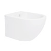 Купить Биде подвесное Qtap Robin 495х370х325 White QT1355046FW , QT1355046FW / SD00042544 , в категории Биде , от бренда Qtap  Интернет-магазин сантехники ✓ Лучшие цены на рынке ✓ Огромный выбор ✓ Гарантия ✓ Заходите!