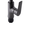 Купить Смеситель для кухни Qtap Zelnava QTZELN9050101FG Графит , QTZELN9050101FG / SD00044015 , в категории Смесители для кухни , от бренда Qtap  Интернет-магазин сантехники ✓ Лучшие цены на рынке ✓ Огромный выбор ✓ Гарантия ✓ Заходите!