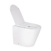 Купить Унитаз напольный Qtap Swan безобидковый с сиденьем Soft-close QT16223178W , QT16223178W / SD00045432 , в категории Унитазы-компакты напольные , от бренда Qtap  Интернет-магазин сантехники ✓ Лучшие цены на рынке ✓ Огромный выбор ✓ Гарантия ✓ Заходит
