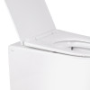 Купить Унитаз напольный Qtap Swan безобидковый с сиденьем Soft-close QT16223178W , QT16223178W / SD00045432 , в категории Унитазы-компакты напольные , от бренда Qtap  Интернет-магазин сантехники ✓ Лучшие цены на рынке ✓ Огромный выбор ✓ Гарантия ✓ Заходит