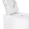 Купить Унитаз напольный Qtap Swan безобидковый с сиденьем Soft-close QT16223178W , QT16223178W / SD00045432 , в категории Унитазы-компакты напольные , от бренда Qtap  Интернет-магазин сантехники ✓ Лучшие цены на рынке ✓ Огромный выбор ✓ Гарантия ✓ Заходит