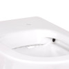 Купить Унитаз напольный Qtap Swan безобидковый с сиденьем Soft-close QT16223178W , QT16223178W / SD00045432 , в категории Унитазы-компакты напольные , от бренда Qtap  Интернет-магазин сантехники ✓ Лучшие цены на рынке ✓ Огромный выбор ✓ Гарантия ✓ Заходит