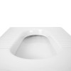 Купить Чаша Генуя Qtap Kalao 525х470х24 Белый QT0823HD5LW , QT0823HD5LW / SD00045961 , в категории Чаши Генуя , от бренда Qtap  Интернет-магазин сантехники ✓ Лучшие цены на рынке ✓ Огромный выбор ✓ Гарантия ✓ Заходите!