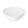 Купити Раковина-чаша Qtap Kolibri 430х430х150 White QT1011K396WN , QT1011K396WN / SD00053081 , в категории Умивальники , от бренда Qtap  Інтернет-магазин сантехніки ✓ Кращі ціни на ринку ✓ Величезний вибір ✓ Гарантія ✓ Заходьте!