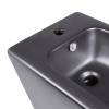 Купити Акційний набір: Унітаз напольний Robin Ultra Quiet QT13226083AMB 660x360x855 Black + Біде напольне Robin QT13442141CMB 565x360x405 Black , QT13226083AMB47928 / SD00054052 , в категории  , от бренда Qtap  Інтернет-магазин сантехніки ✓ Кращі ціни на 