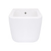 Купити Біде підвісне Qtap Gemini 520×360×295 мм, White QTTAU28W49121 , QTTAU28W49121 / SD00055245 , в категории  , от бренда Qtap  Інтернет-магазин сантехніки ✓ Кращі ціни на ринку ✓ Величезний вибір ✓ Гарантія ✓ Заходьте!