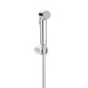Купити Набір для гігієнічного душу Grohe Tempesta-F Trigger Spray 30 26352000 , 26352000 / CV031955 , в категории Гігієнічні душі , от бренда GROHE  Інтернет-магазин сантехніки ✓ Кращі ціни на ринку ✓ Величезний вибір ✓ Гарантія ✓ Заходьте!